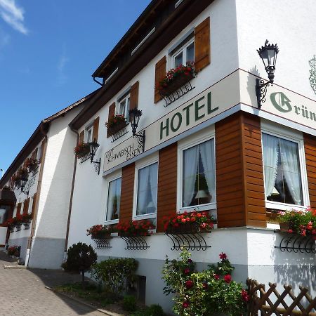 Hotel Landgasthof Gruener Baum Hochdorf  Exterior foto