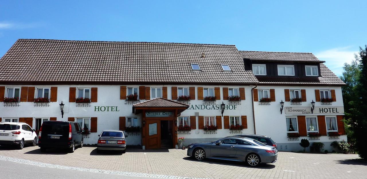 Hotel Landgasthof Gruener Baum Hochdorf  Exterior foto